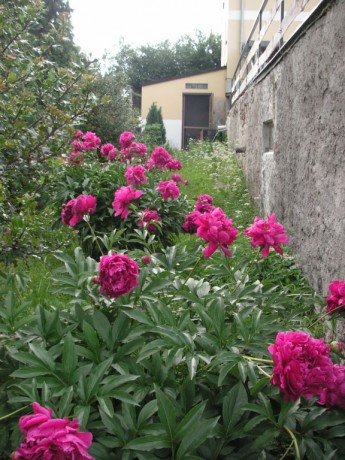 PICT0382