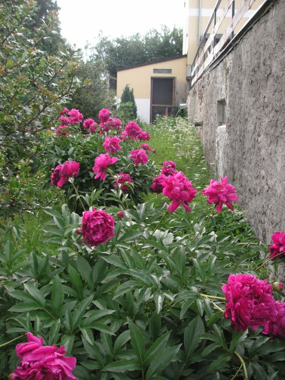 PICT0382