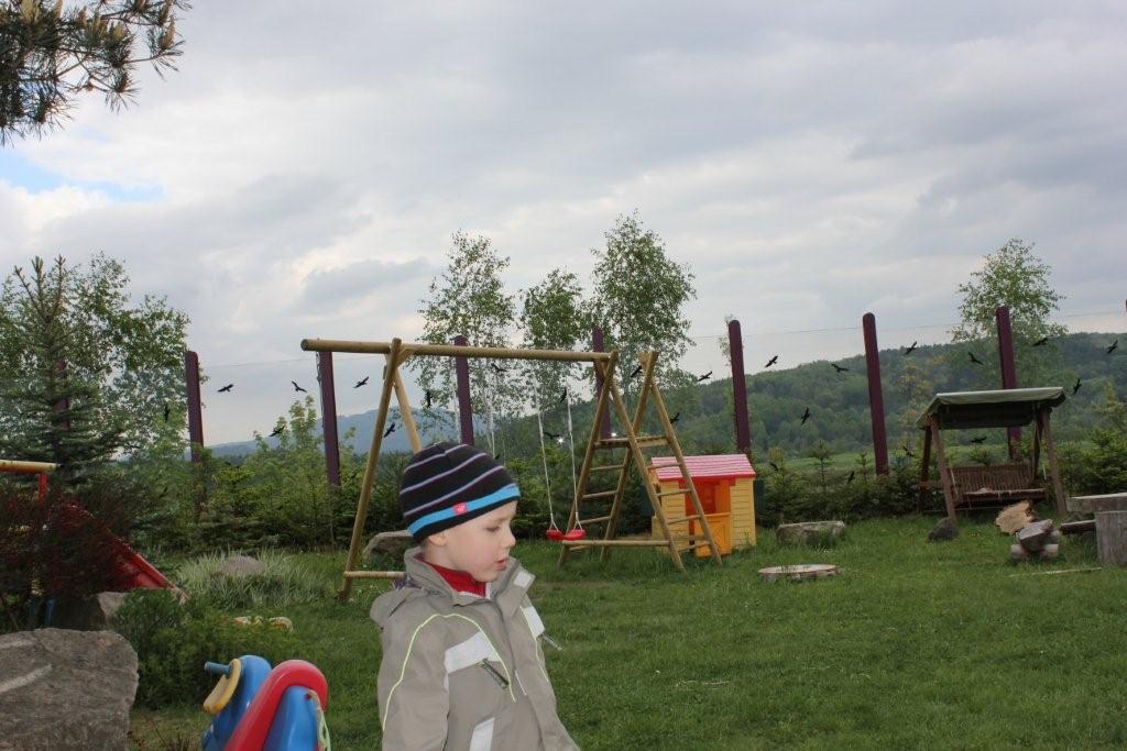 IMG_2562